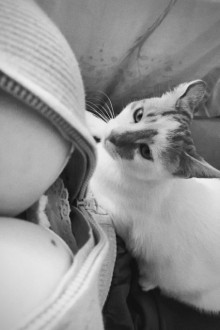 Асюня только выезд🎀 — знакомства для секса в Севастополе